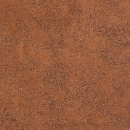 25039518